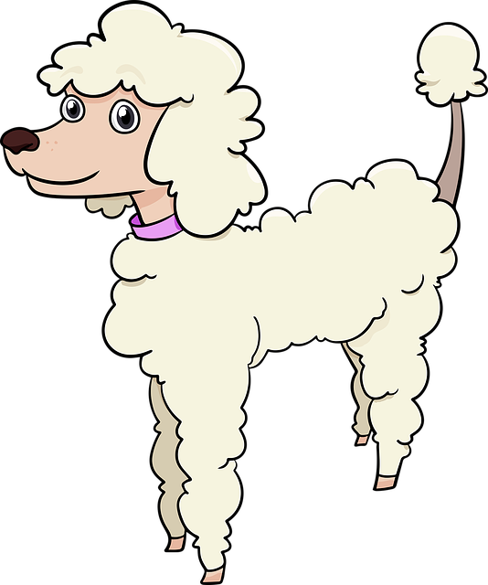 Timmy the dog, representing the difficulty Machine Learnign has in identifying a Poodle - not just a dog