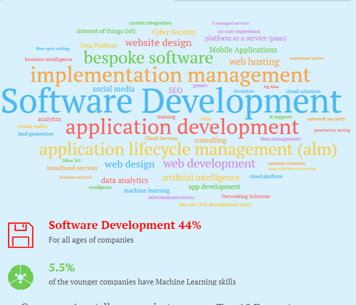 Word cloud images of tech skills accompanying the article on the difference between NI tech companies at different ages
